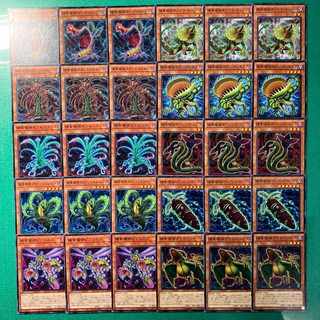 ねぎはや様 ご所望品