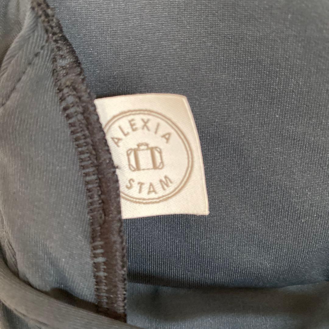 ALEXIA STAM 水着　Sサイズ