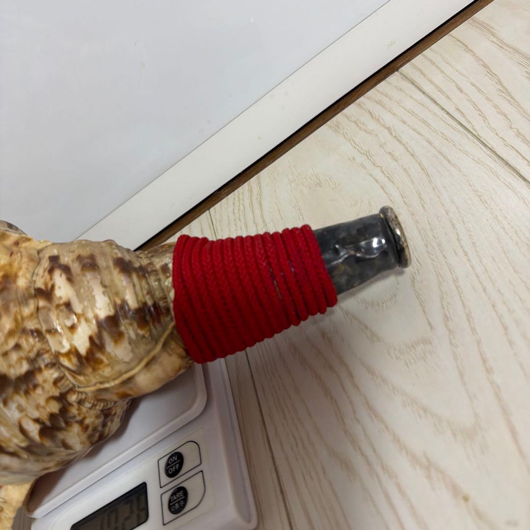 法螺貝 ほら貝 36.5cm‼️