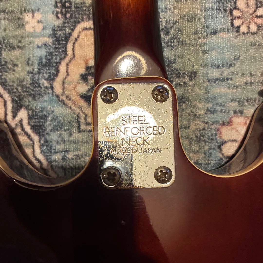 Aria Diamonds 60´s ヴィンテージ ビザールギター フルアコ