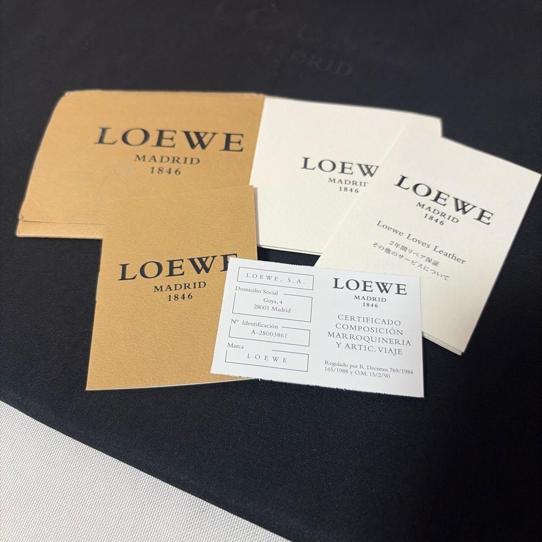 超希少 LOEWE VINTAGE PINK Python フラメンコ バッグ