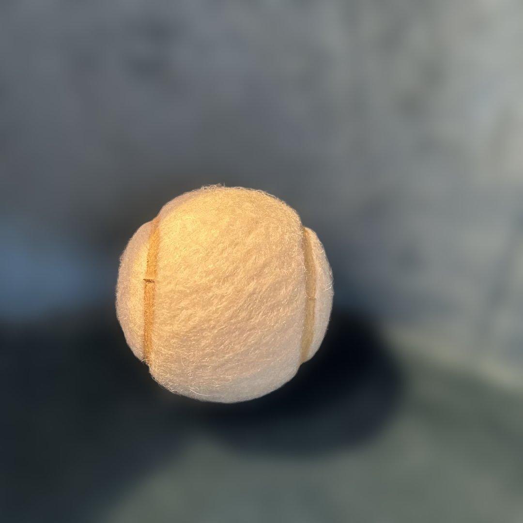 希少品】シャネルCHANEL 非売品 テニスボール ノート ミニ鉛筆 鉛筆