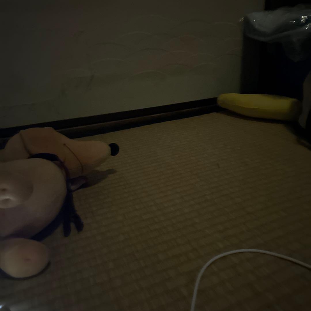 つかいふるしのいぬ ビクター犬 ビクター犬で有名となった犬種が絶滅の危機 | カラパイア