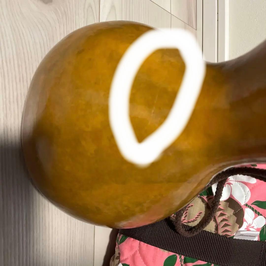 イプ・ケース付き