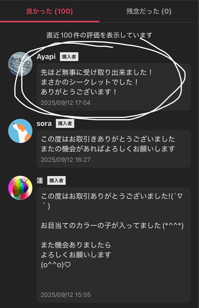 【正規品・未開封】Labubu Big into Energy 5箱