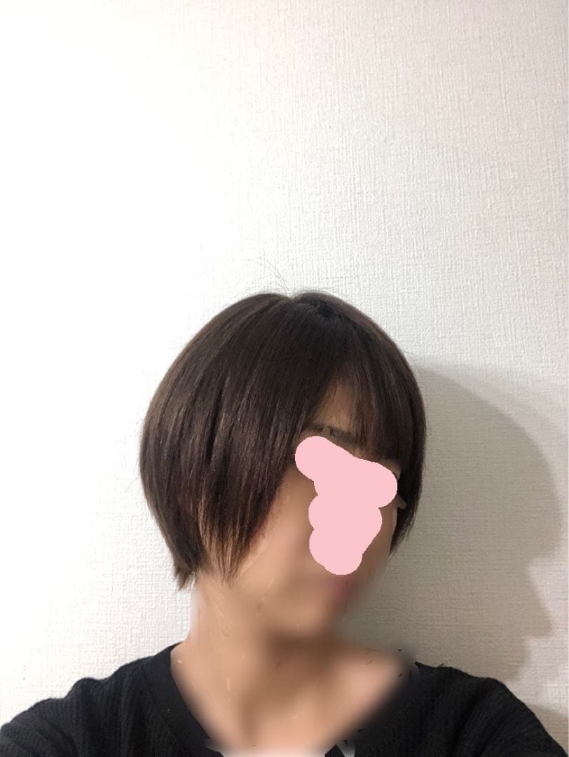 人毛ショート　ブラウン　未使用