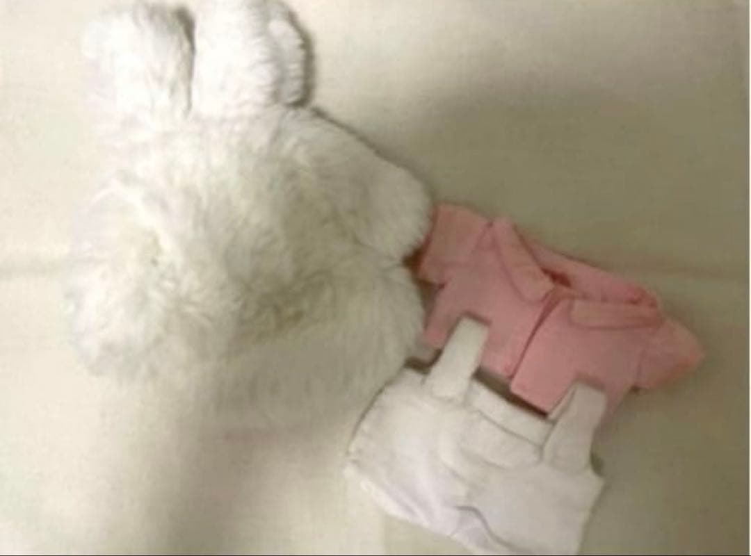 EXO ベッキョン ぬいぐるみ 15cm セルキュイ 服付FC限定トレカ