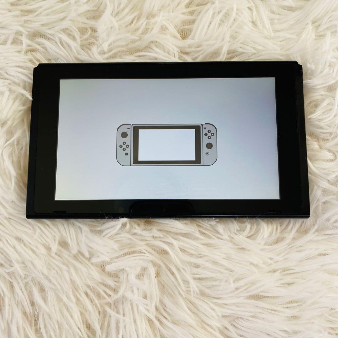 Nintendo Switch 付属品完備ブルー/レッド 初期型SD＋ケース付き