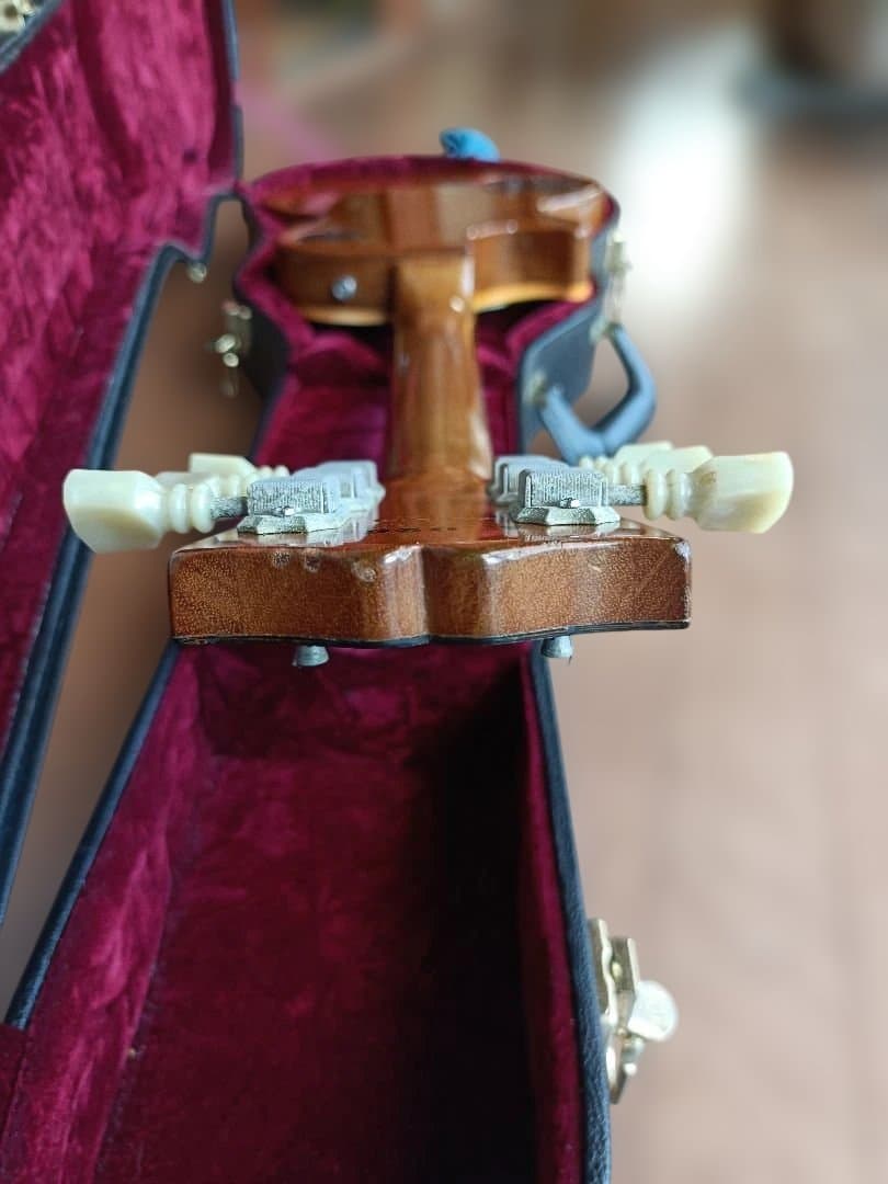 1982年製 30th Anniversary Gibson Gold Top