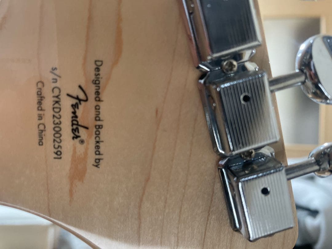 スクワイヤー エレキギター Paranormal Esquire® Deluxe