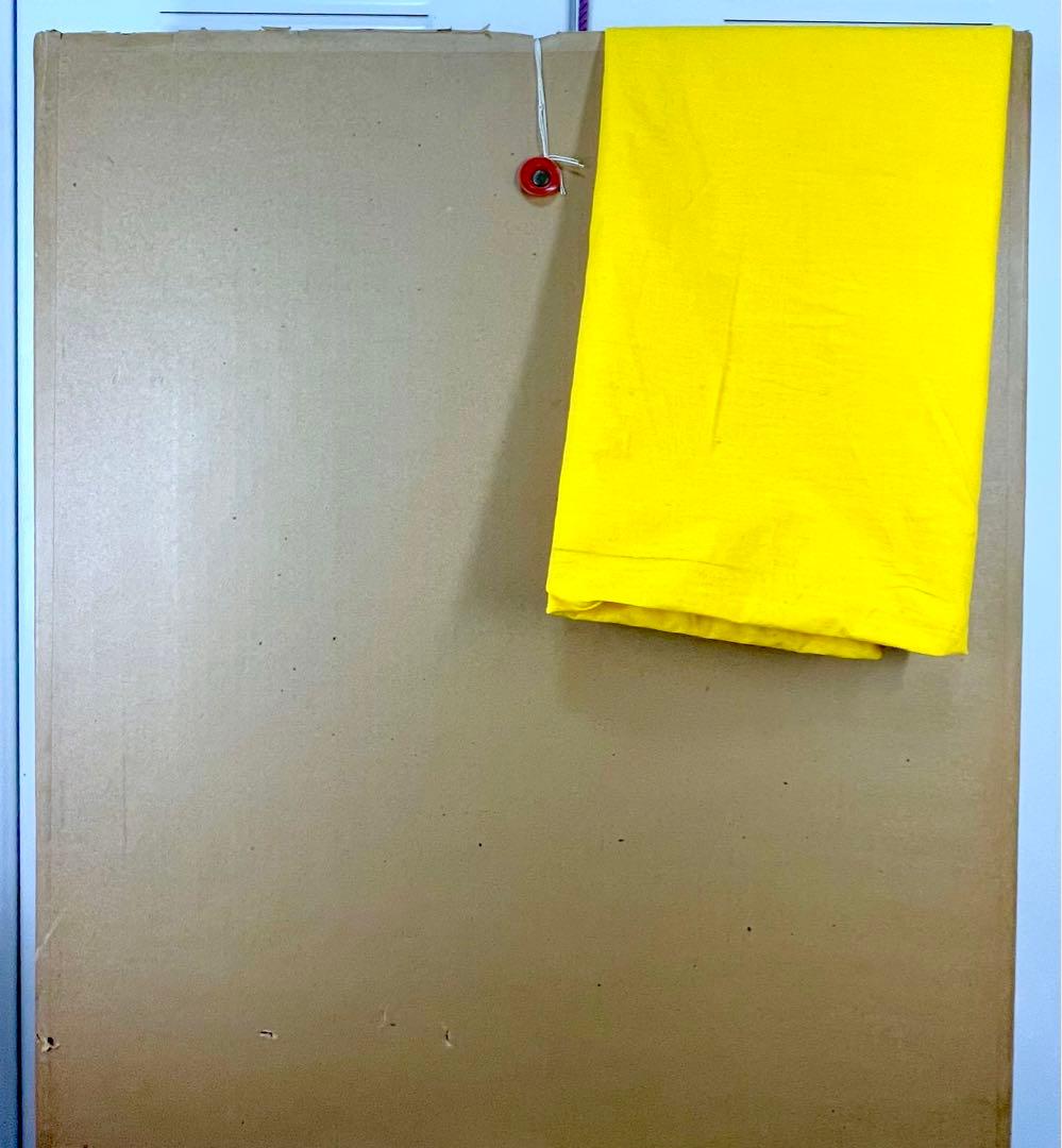 中川力　真作「ばら」 油彩6号　格調高い薔薇図名品　師：有島生馬