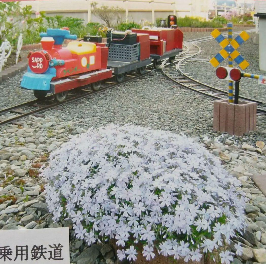 ミニ庭園鉄道（乗用５インチ）オリジナル列車二両（製造注文限定）