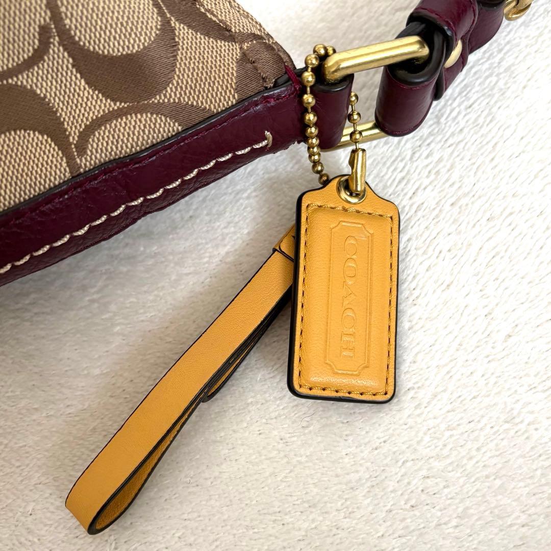 ⭐︎美品【COACH】ワンショルダーバッグ キャンバス レザー シグネチャー 総柄
