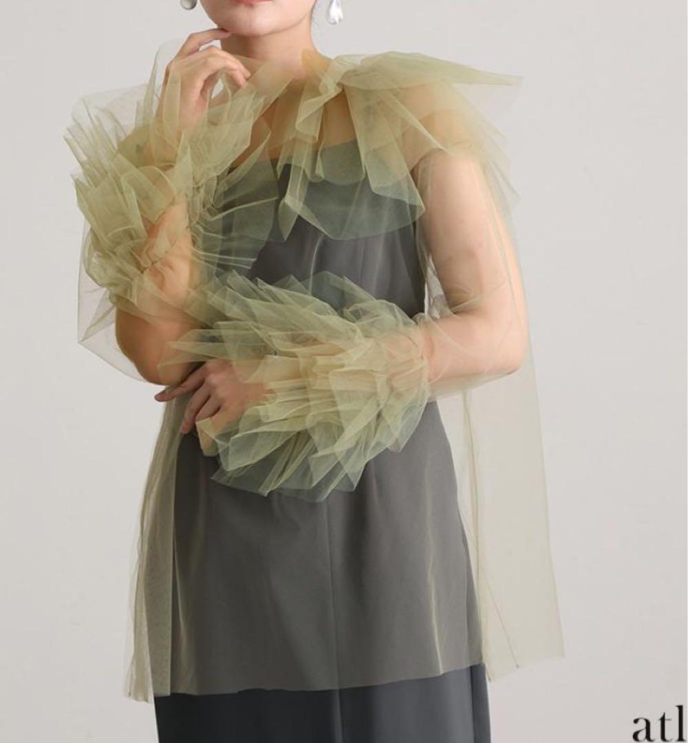 ブルーミングチュールドレス　PourVous andresd