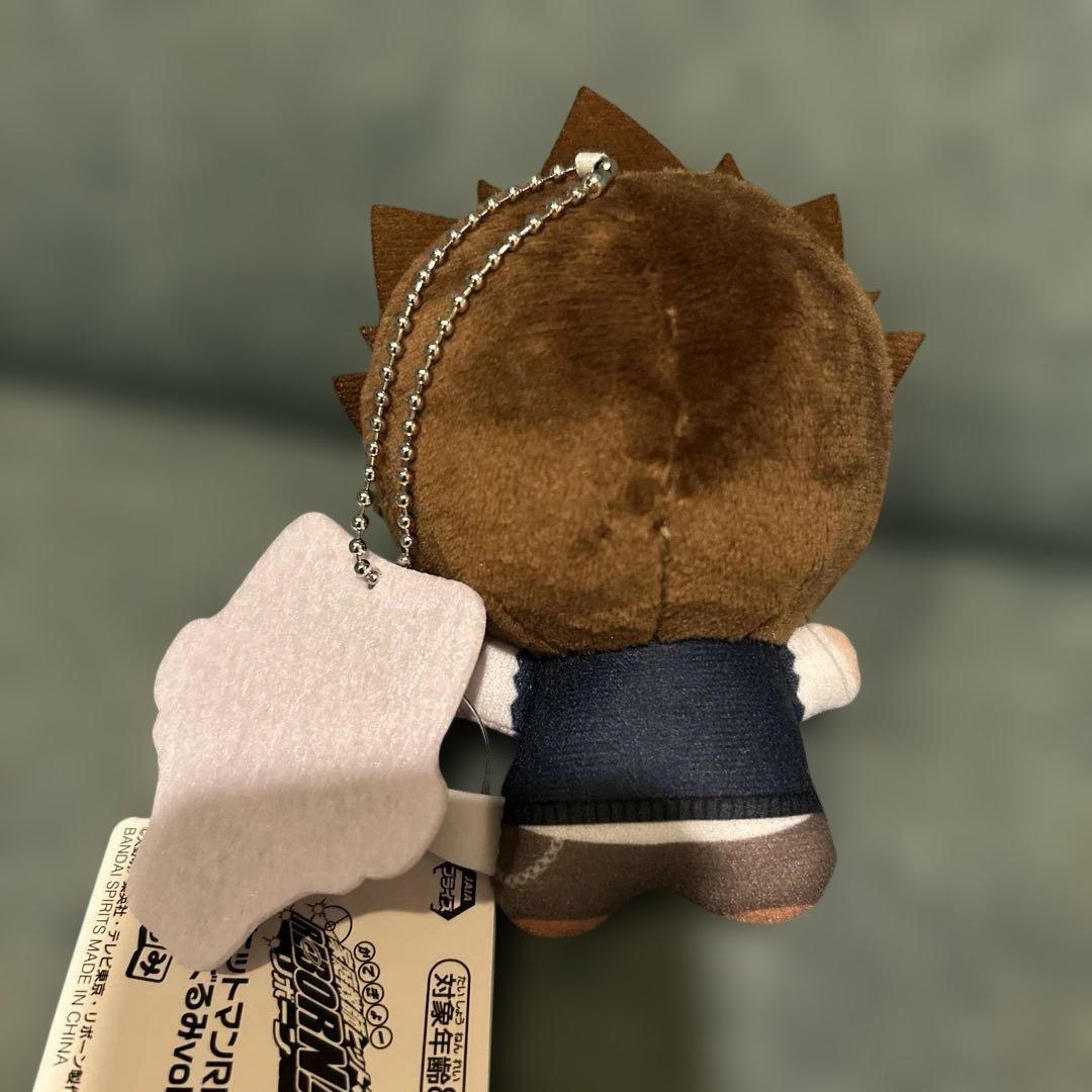 家庭教師ヒットマンREBORN!ちびぐるみ沢田綱吉 - メルカリ