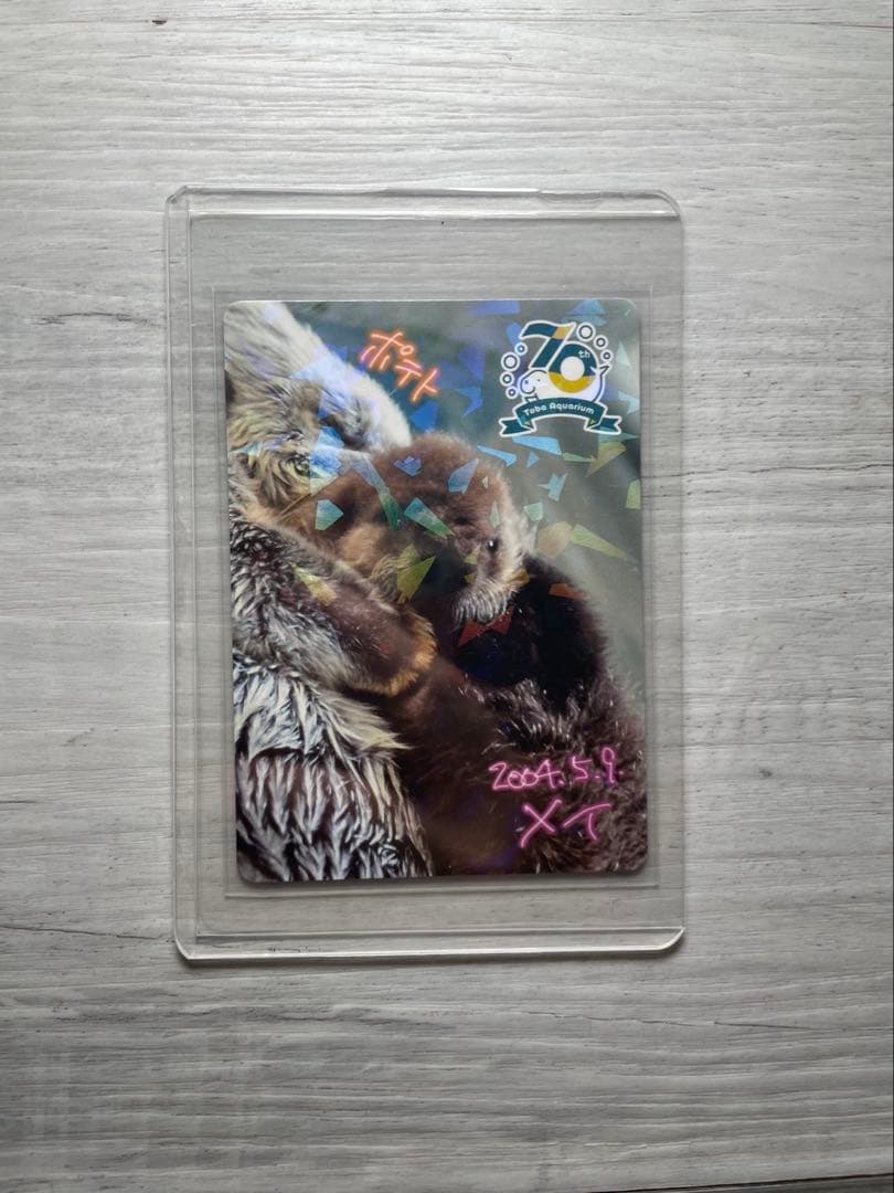 鳥羽水族館コレクションカードメイちゃんとポテト他4枚セット