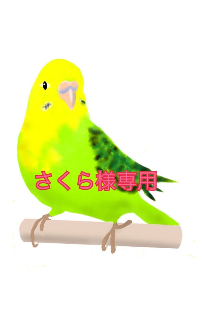 林檎止まり木（オーダー） 楽天市場】鳥 止まり木 爪とぎ パーチ インコ ステージ 足場 りんご