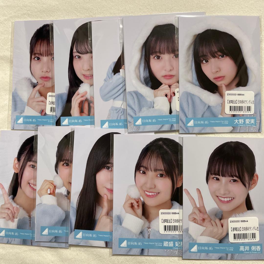 日向坂46生写真 2025クリスマスサンタ衣装（全メンバーまとめ売り）