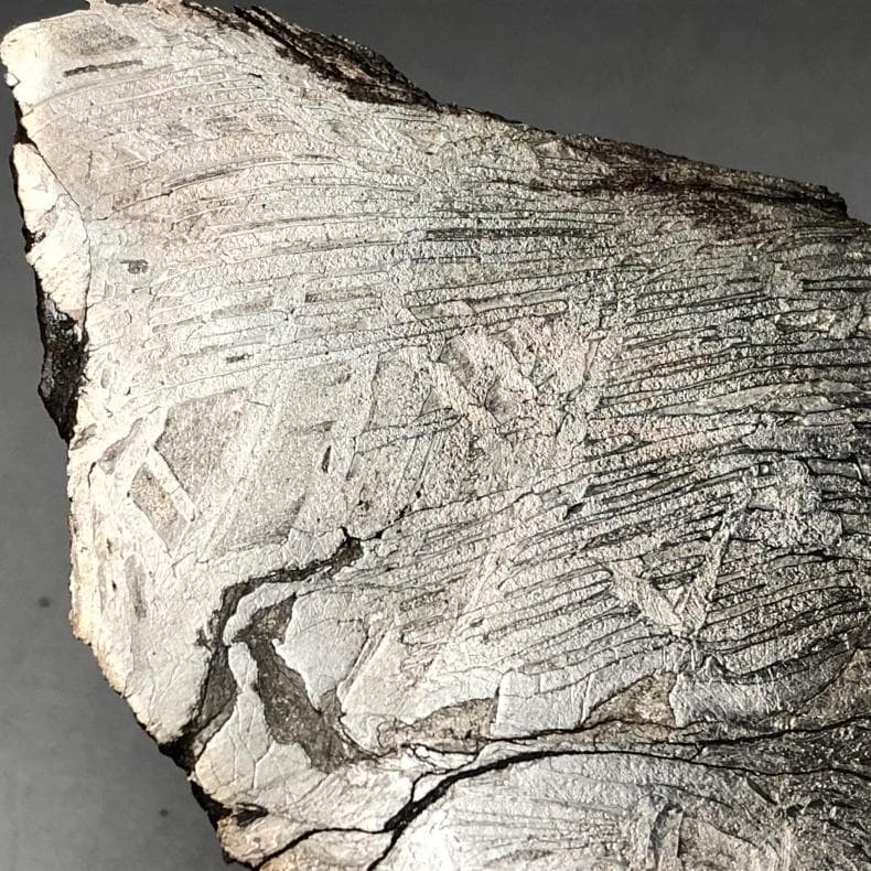 隕石 鉄隕石 アルタイ隕石 原皮付き ナチュラル 原石 重さ約228g