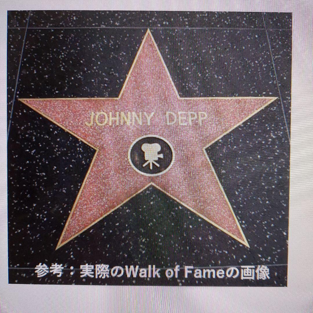 唯一無二】ジョニー・デップウォーク・オブ・フェイムアート作品