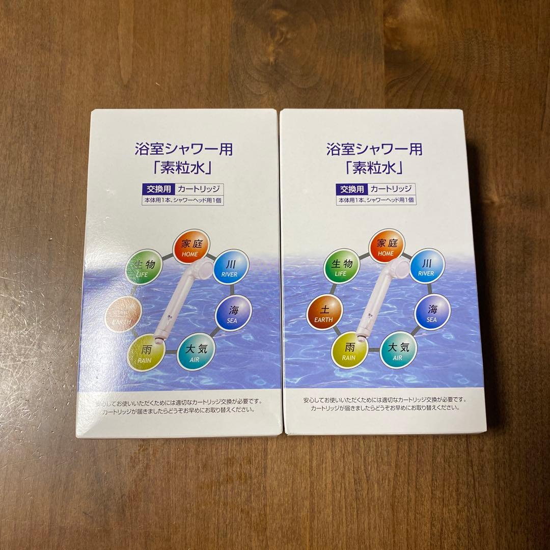 安倍晋三 元内閣総理大臣 大型色紙 「祈必勝」