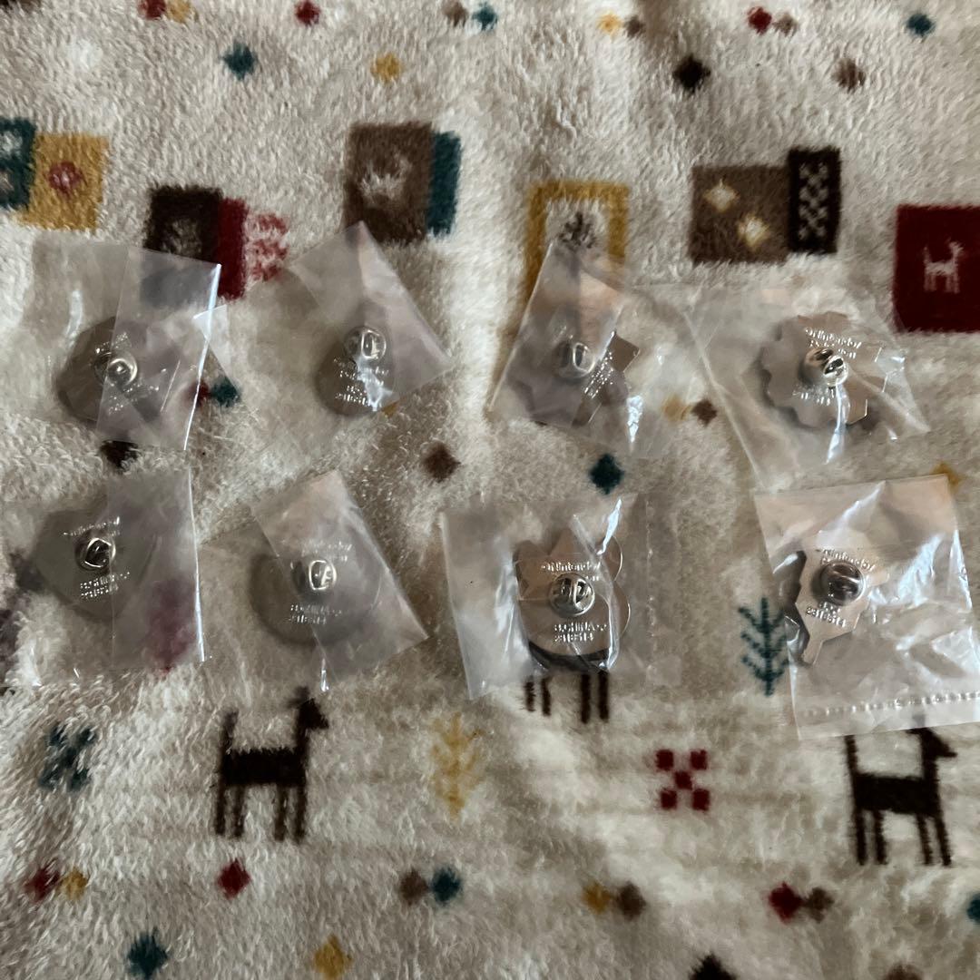 ポケモン カントー ジムバッジ セット