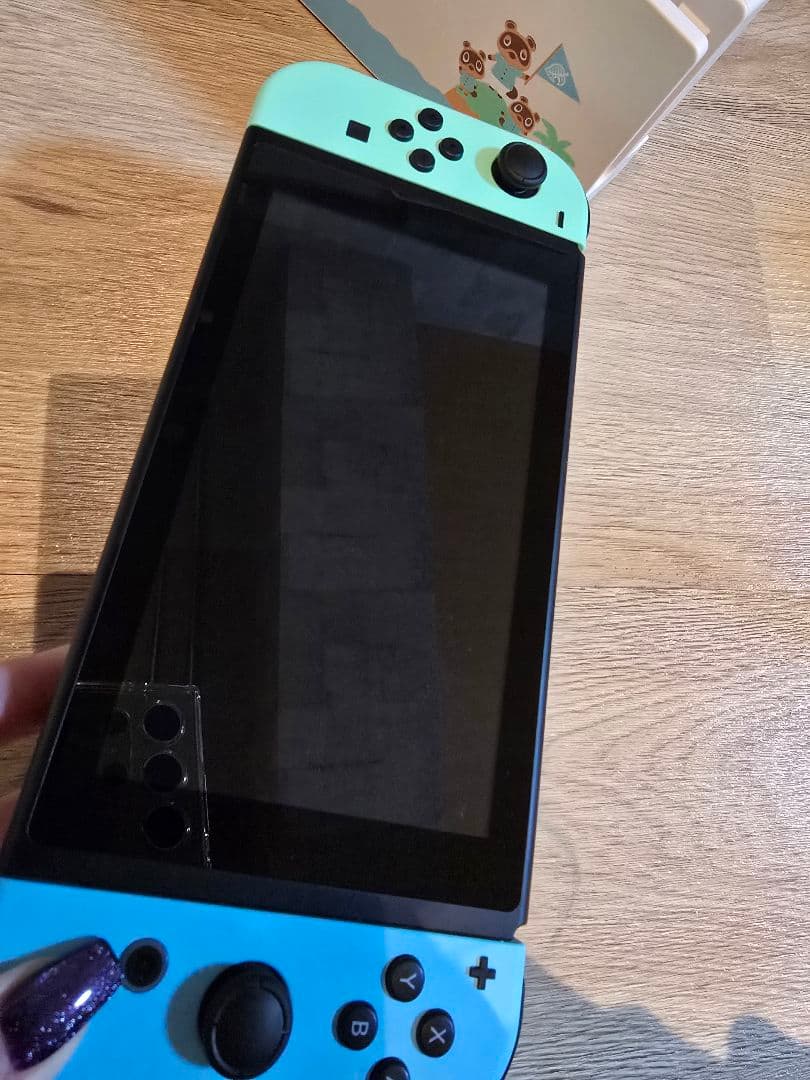 Nintendo Switch あつまれ どうぶつの森　あつもり