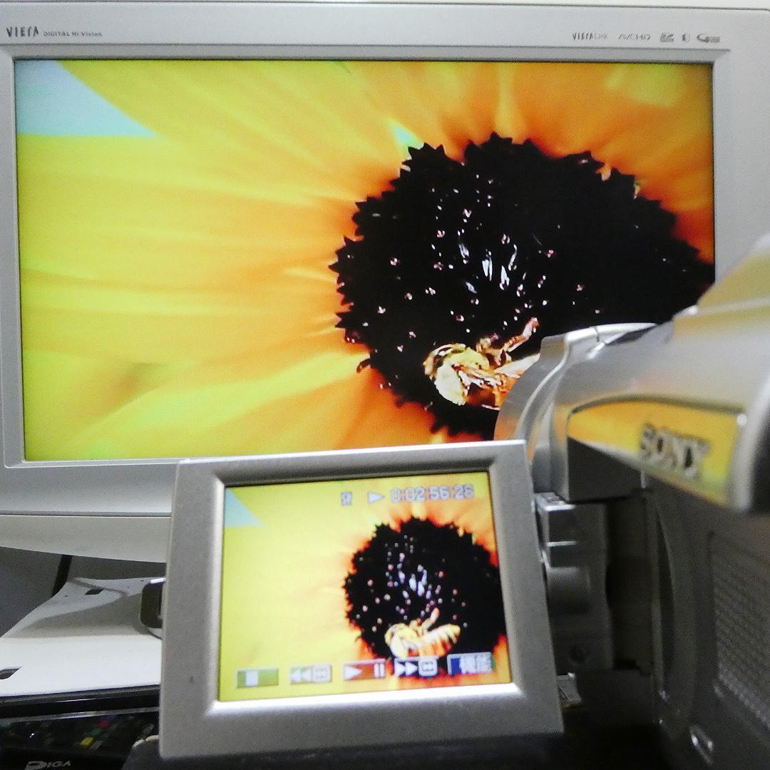 動作品 ソニーDCR-TRV70 MiniDV ビデオカメラ DVDダビングに