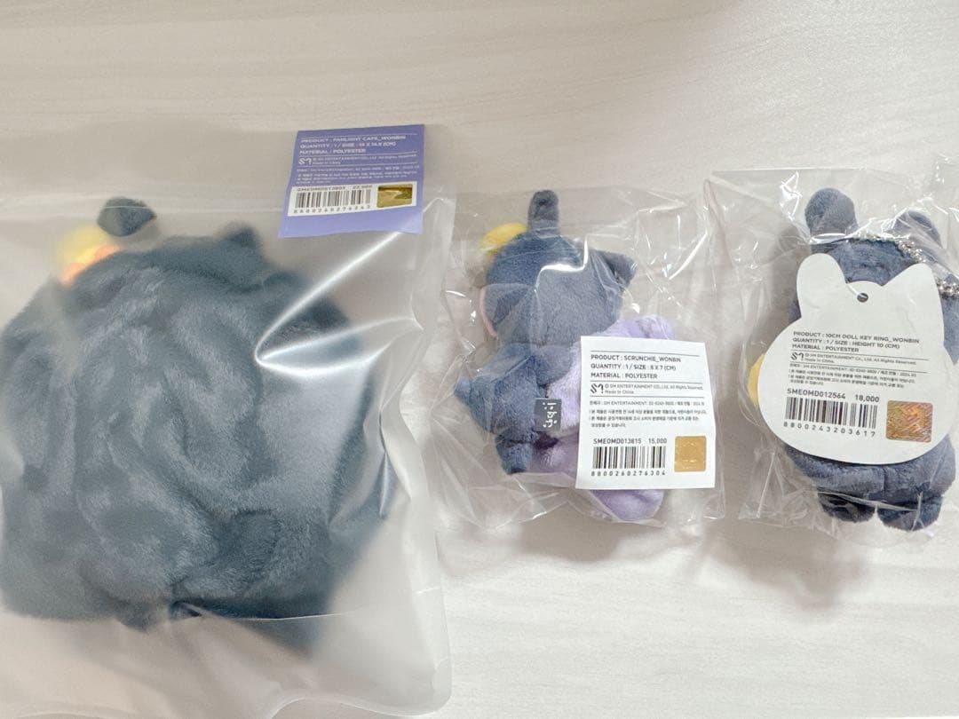 RIIZE ウォンビン　トニャンドク　ペンラカバー　シュシュ　キーリング　セット