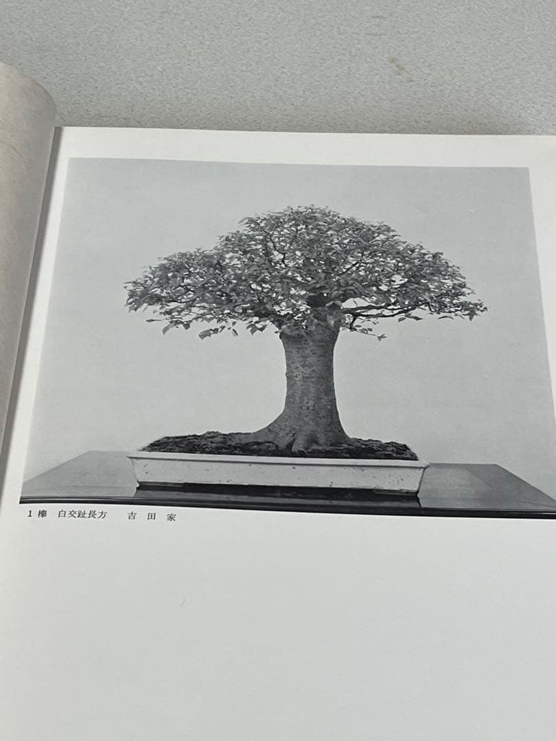 盆栽 水石 記念帖 盆栽 水石 記念帖