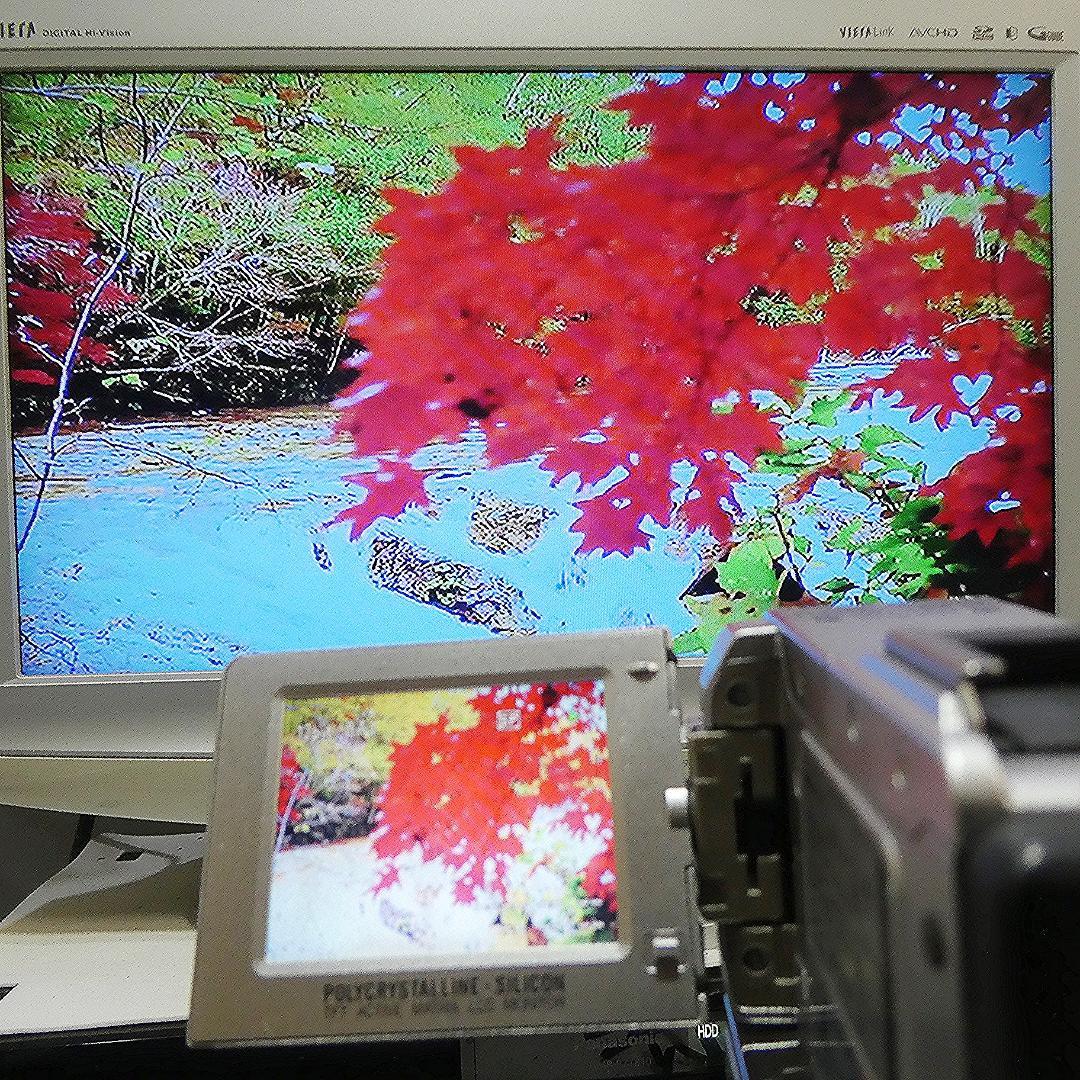 動作良好 ビクター GR-DVP9 MiniDVビデオカメラ　DVD化に最適