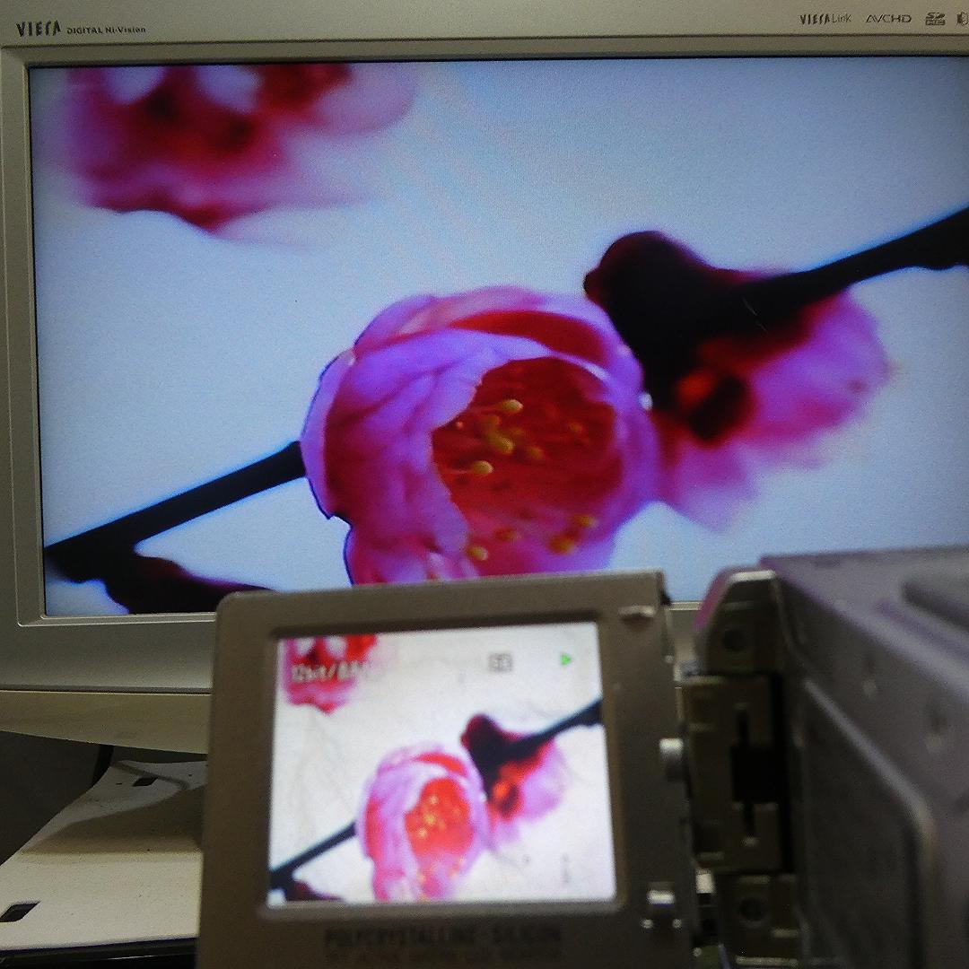 動作良好 ビクター GR-DVP9 MiniDVビデオカメラ　DVD化に最適