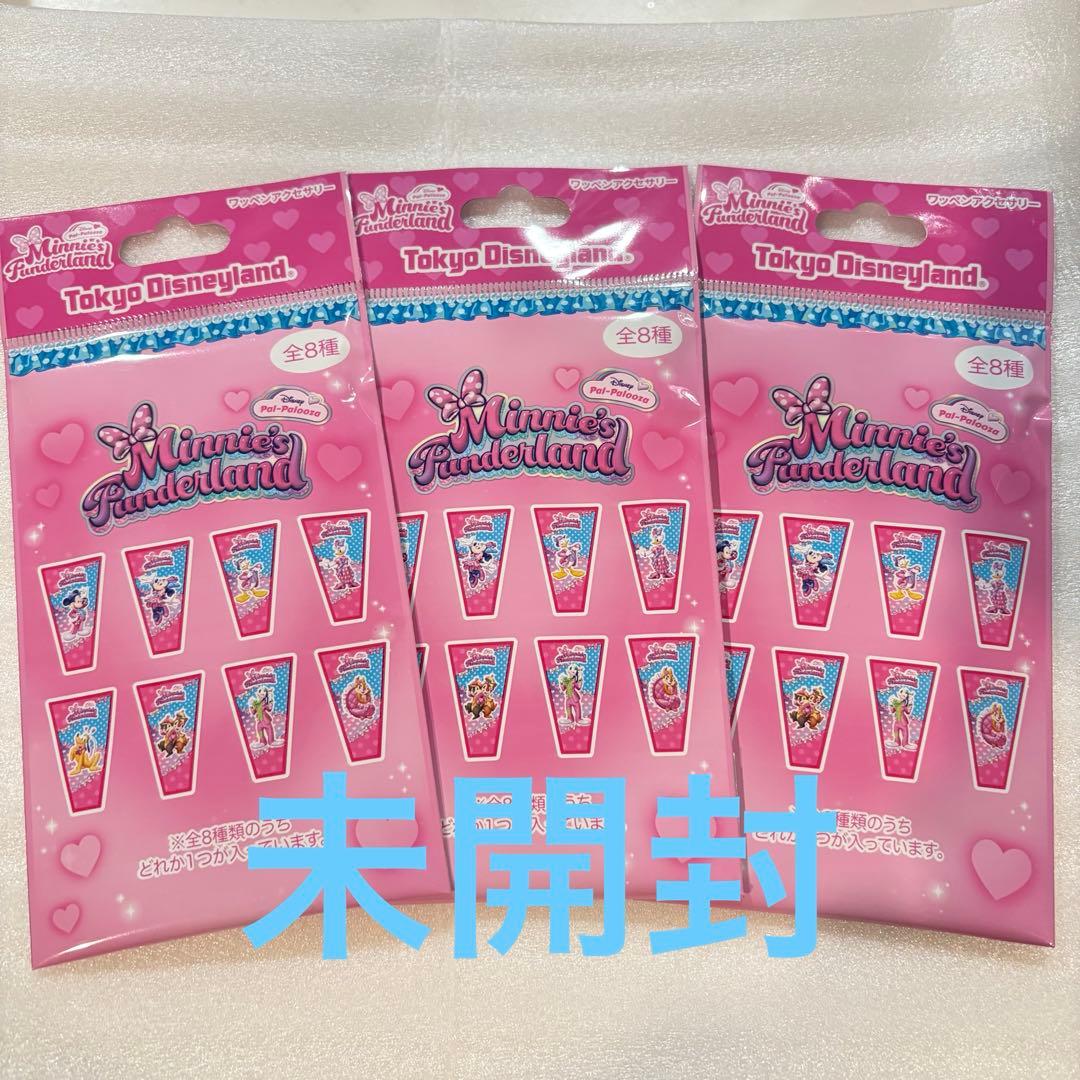 新品未開封】ディズニー パルパルーザ ミニーのファンダーランド