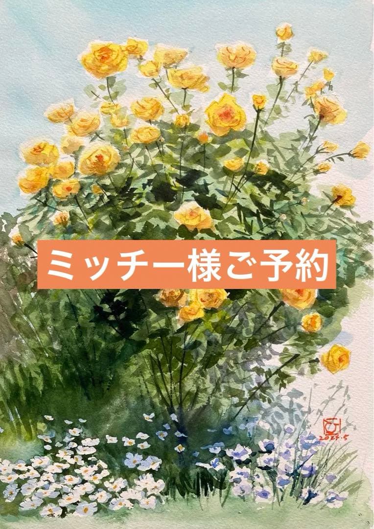 透明水彩画原画夢見るローズガーデン