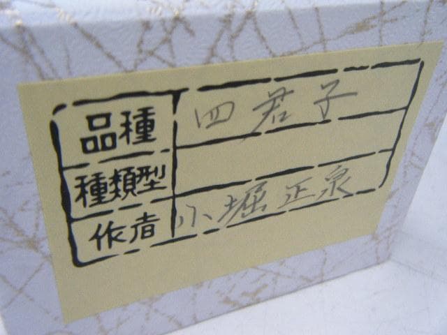 未使用品】掛軸 小堀正泉『四君子(草花)』絹本 箱付 掛け軸 L01620