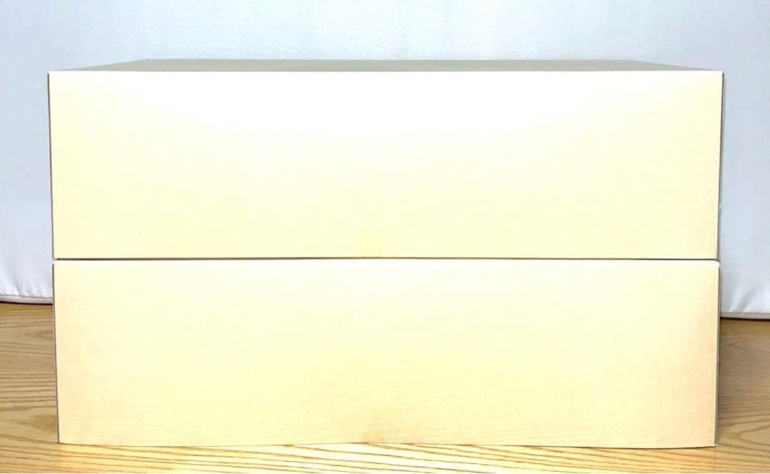 【2台セット】新品未開封　タミヤ　ライキリGT スペアボディセット