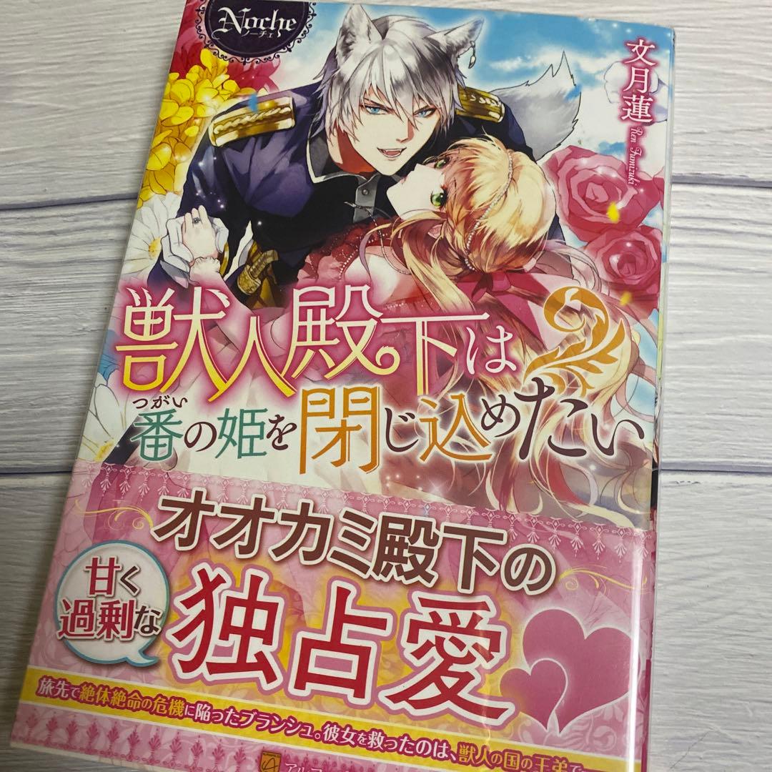 TL小説 女性小説まとめ ノーチェブックス 9冊 - メルカリ