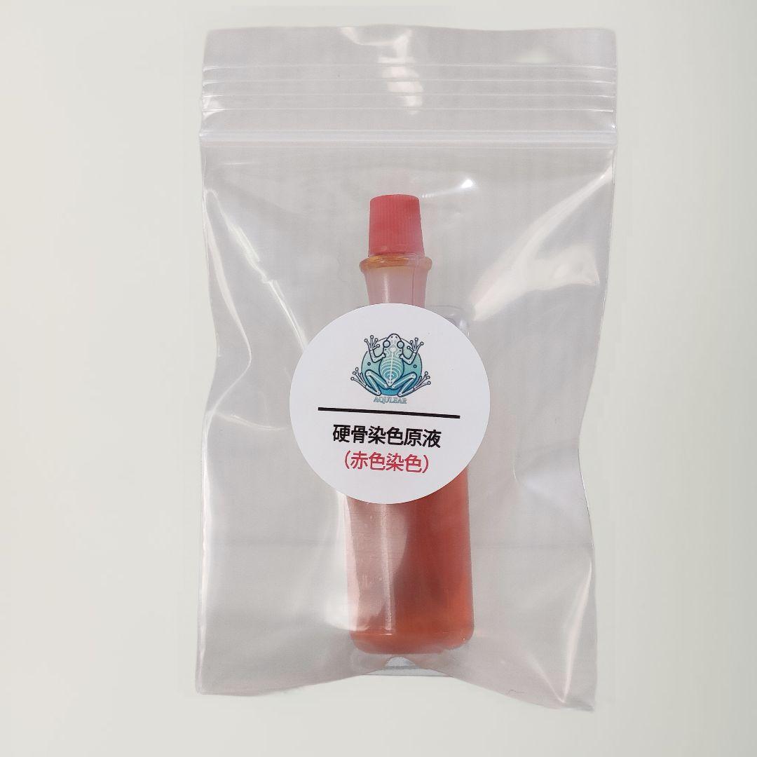 透明標本作製キット】薬液のみ 全9種類 11点 - メルカリ