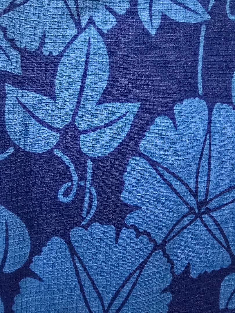 タイムセール!レア中のレア、日本橋竺仙綿紅梅、青い朝顔