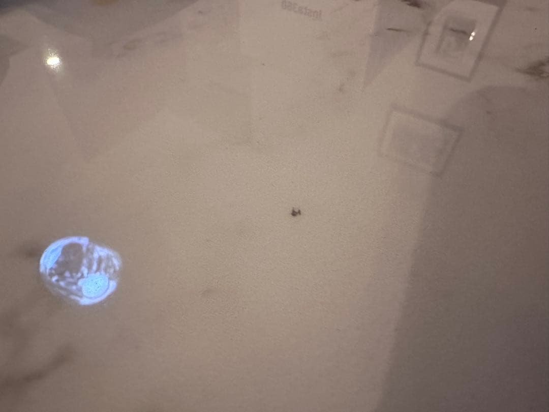 ボーコンセプト　ニューヨークtable 円形大理石風ダイニングテーブル