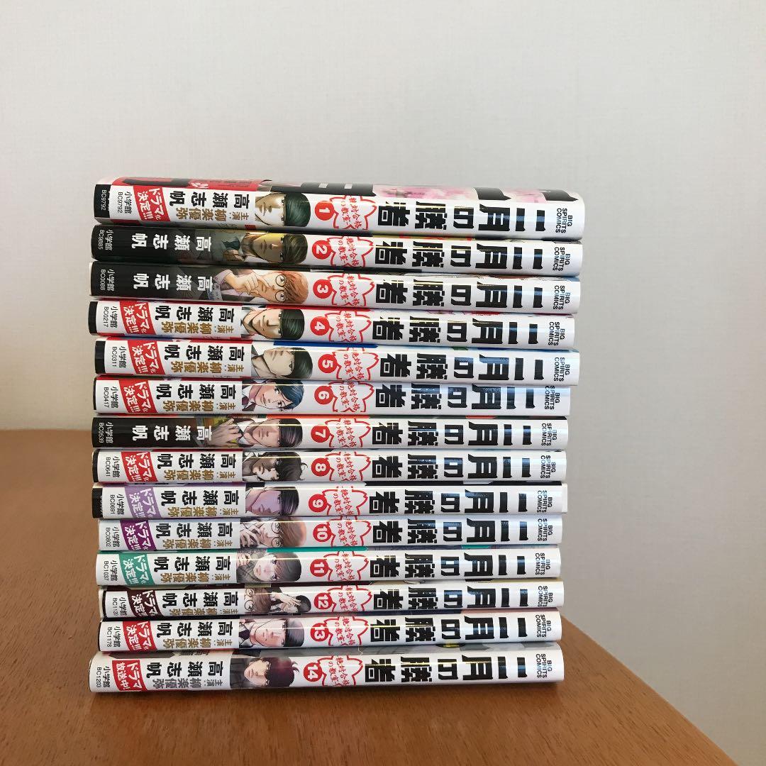 Yuri様専用 タイ古陶磁 スンコロク 宋胡録 黒釉 象飾壷 V R4578