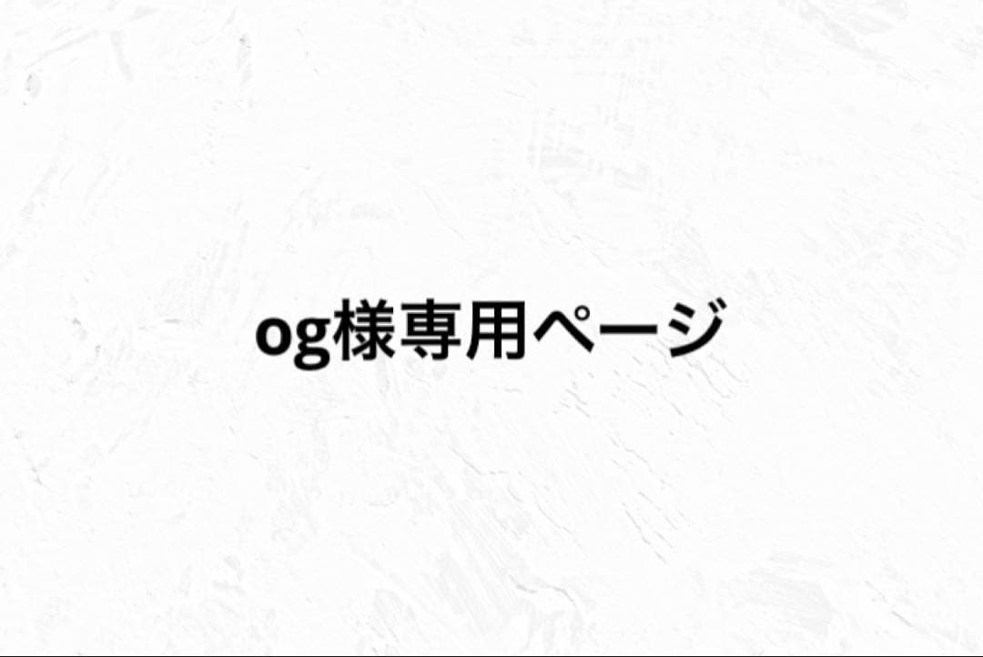 HOSONO HOUSE 細野晴臣Tシャツ/ XLサイズ/ヘビーウエイト 細野晴臣さん