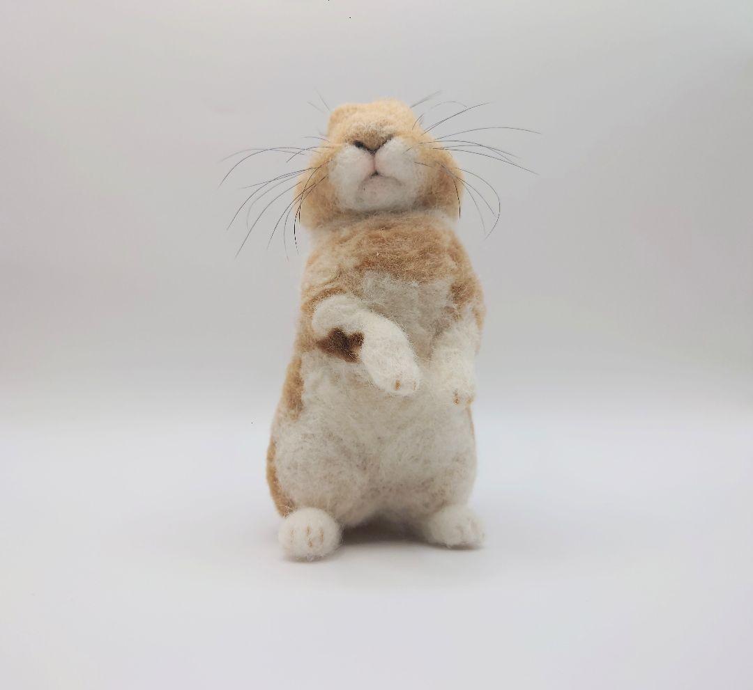 Miki様専用 羊毛フェルト