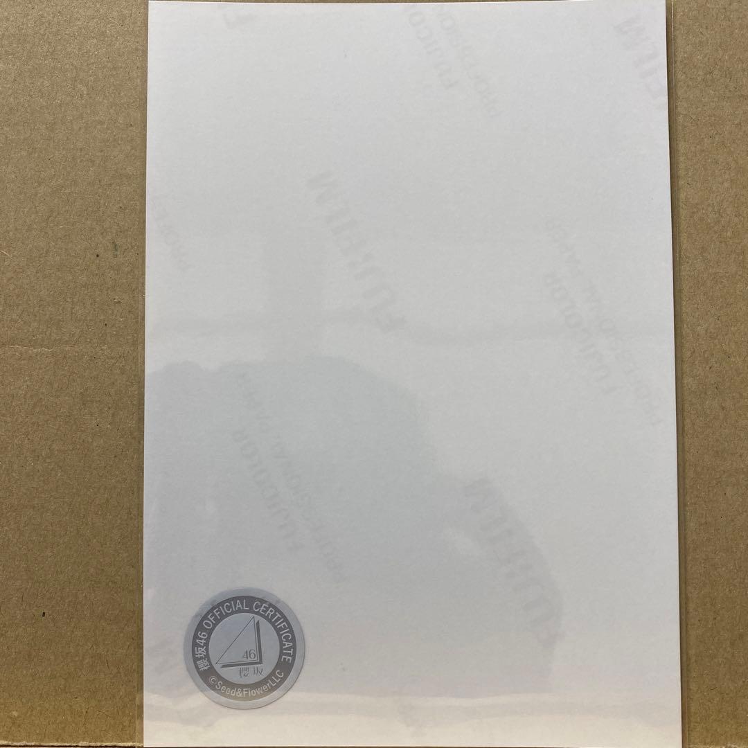 櫻坂46 2023年クリスマスサンタ衣装 直筆生写真 武元唯衣