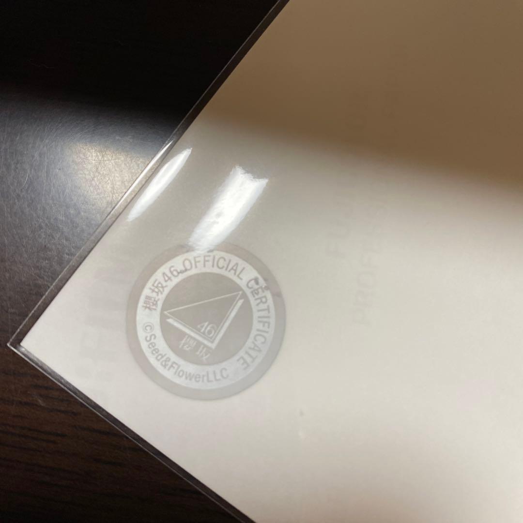 櫻坂46 2023年クリスマスサンタ衣装 直筆生写真 武元唯衣