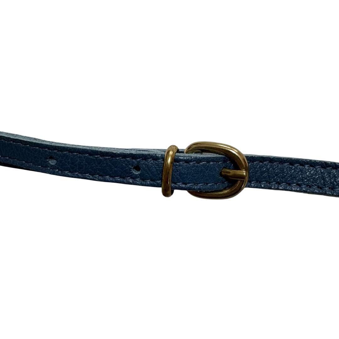 極美品 IL BISONTE ミニ ショルダーバッグ ブルー