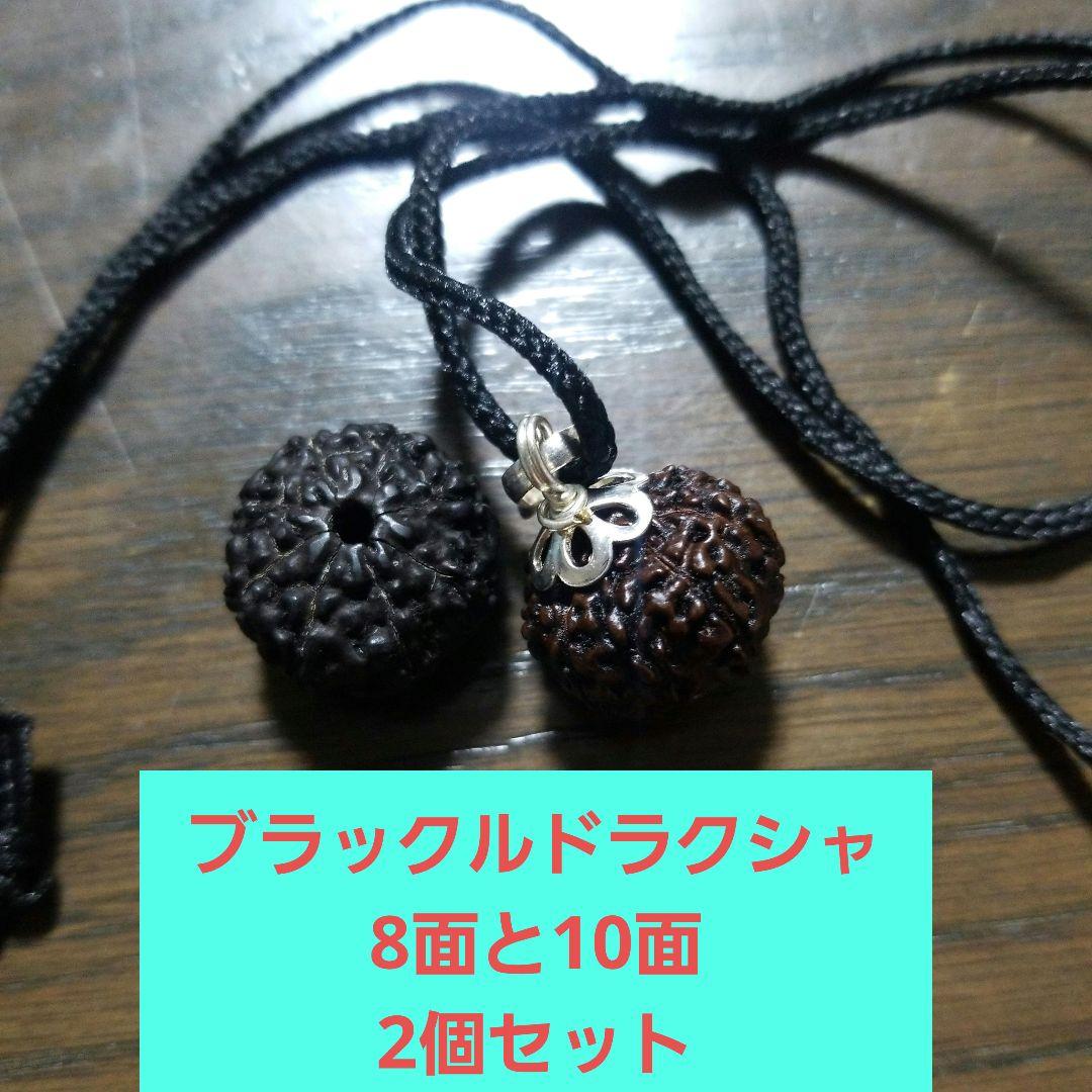 10/5までの出品】ルドラクシャ1面～14面+ガウリーシャンカラ+