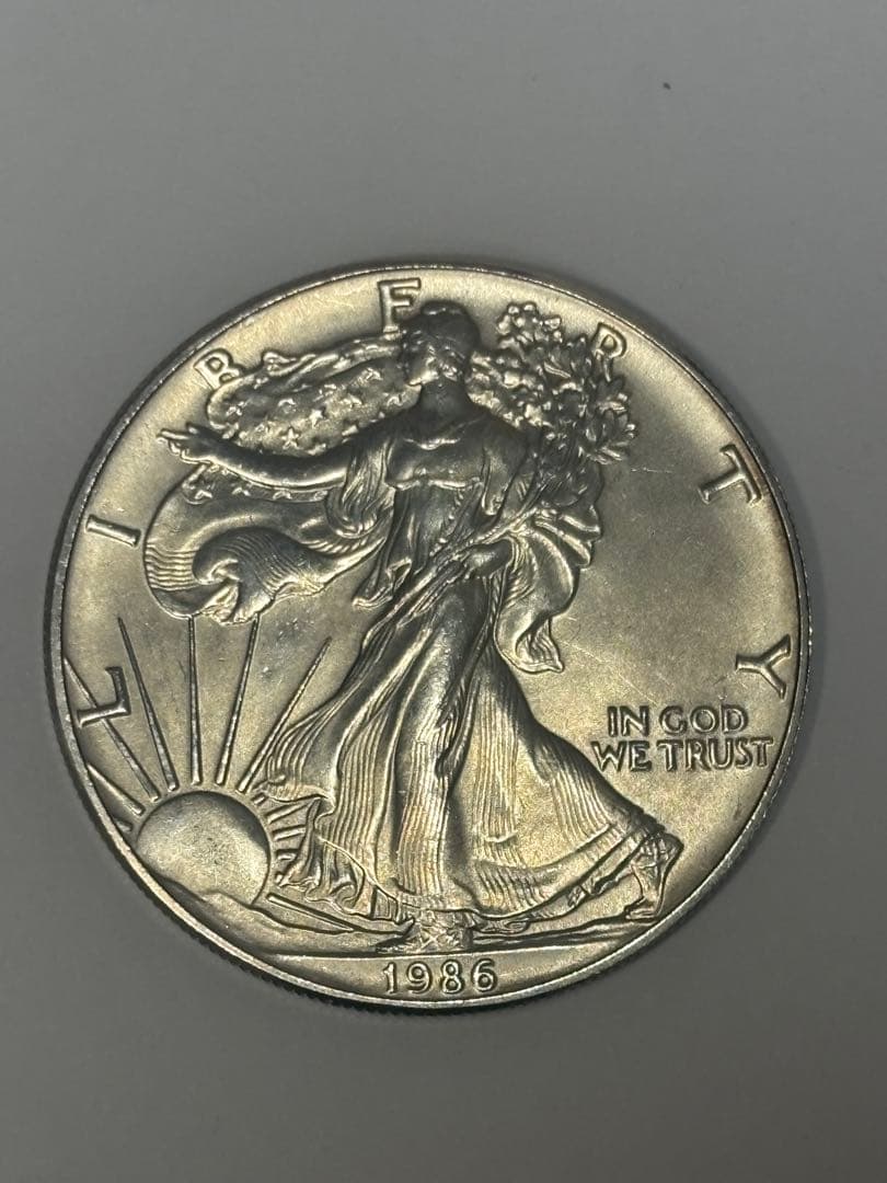 アメリカ 1ドル シルバー 31.3g