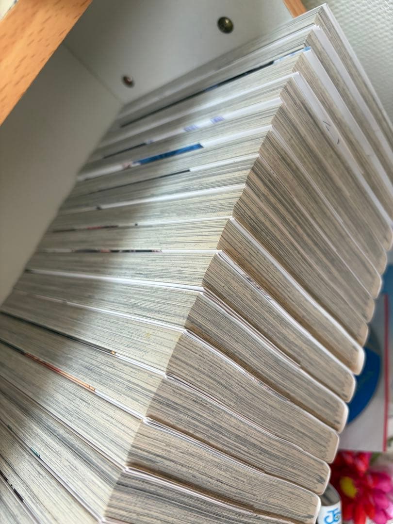 薔薇の花は凛と咲く 全19巻セット