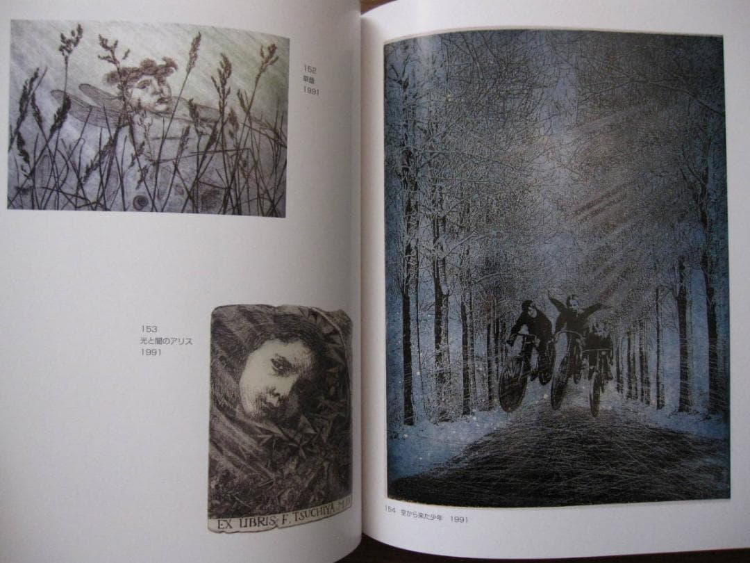 森ヒロコ 作品集 Hiroko Mori 銅版画 - メルカリ